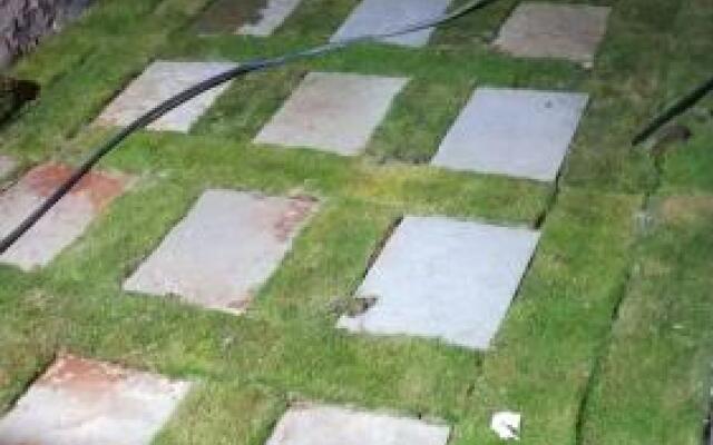 Vamoose Malvan Katta