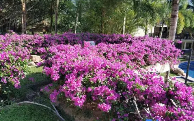 Nanmei Hot Spring Mountain Villa