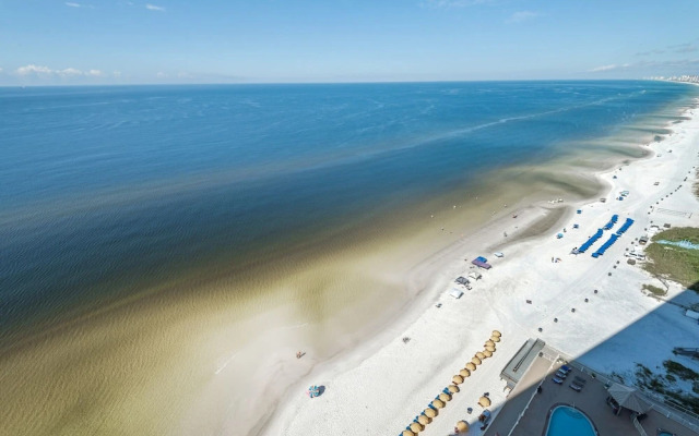 Treasure Island 2105