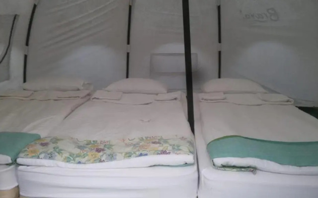 Bravo Adventure Glamping