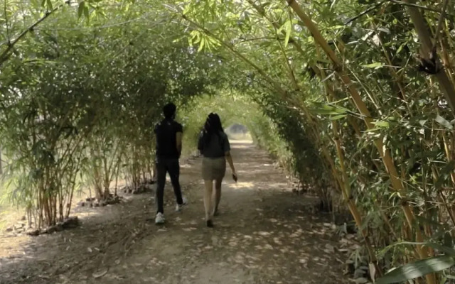 Karhandla Farm and Resort