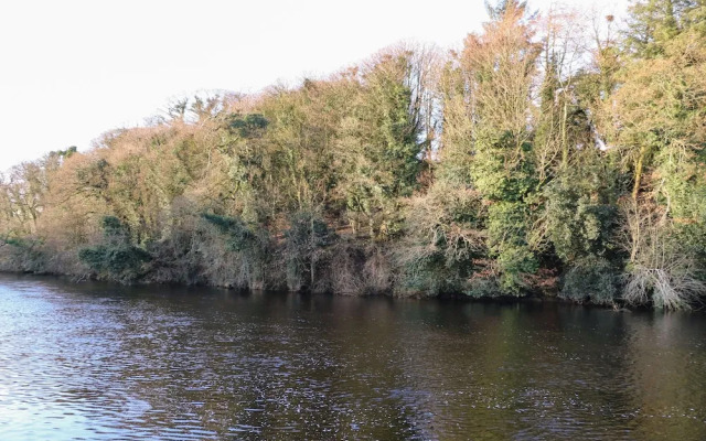 The River House