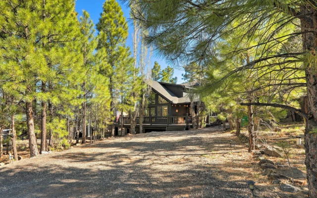 Peaceful Cabin Between Flagstaff & Sedona!