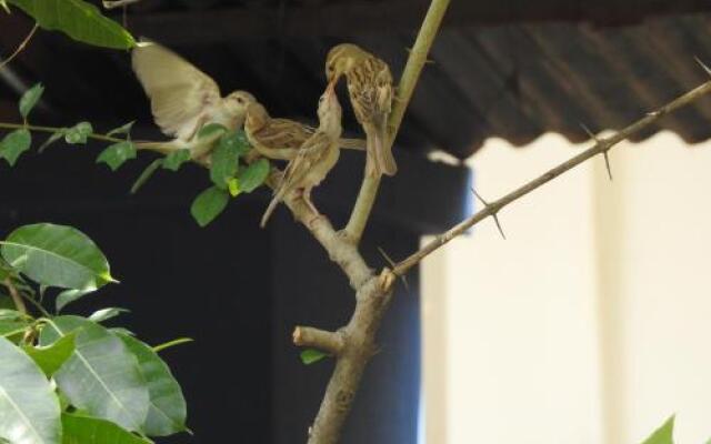 The Coral Tree Homestay