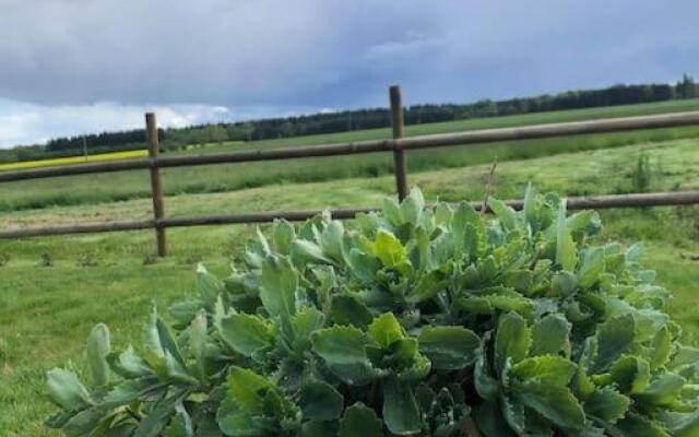 Sainte Suzanne gite de LA CHARRETERIE