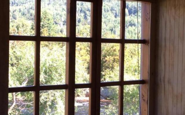 Los Mañíos Del Queulat