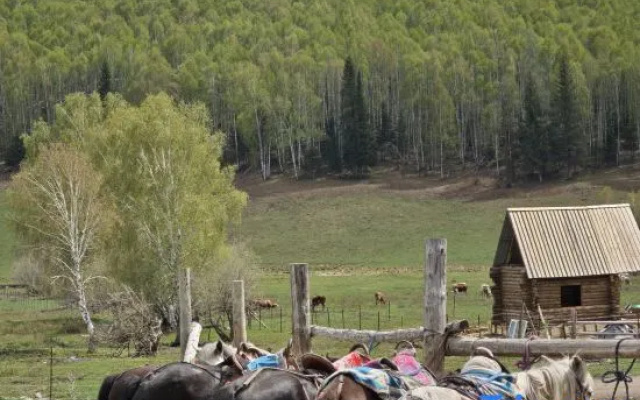 HeMu xinfuyuanzi – Outside – Altay
