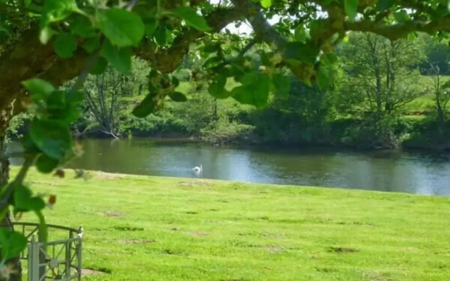Herons