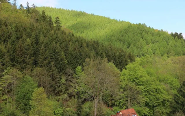 Sonnige 60m² Ferienwohnung Fur 5 Personen