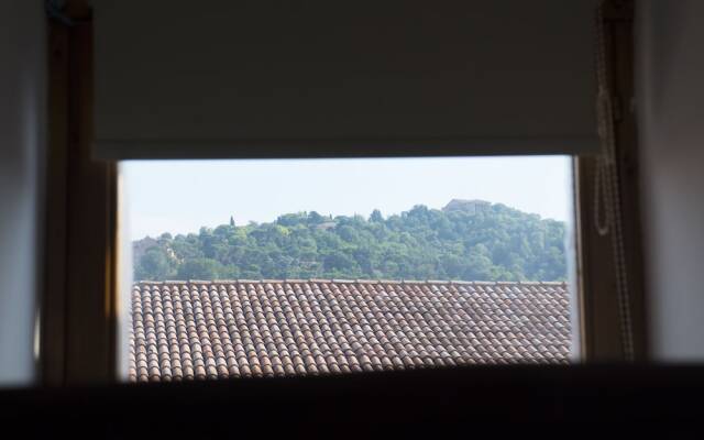 Nice and Cozy Quiet Apartment Right in the Center