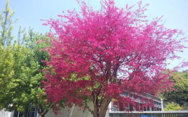 Yangtianhu Villa Ningbo