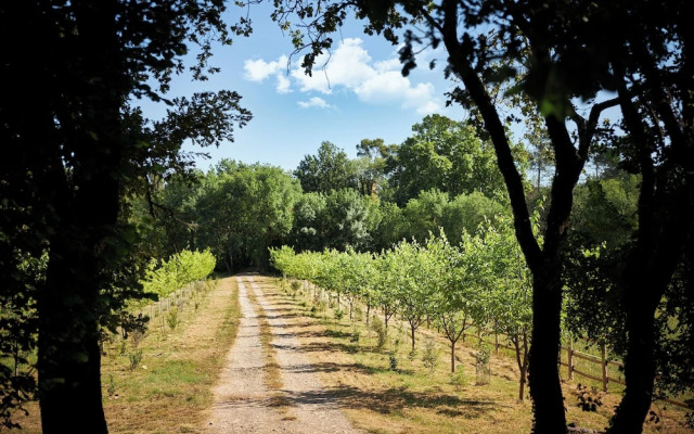 Ferme Saint-Georges en Provence