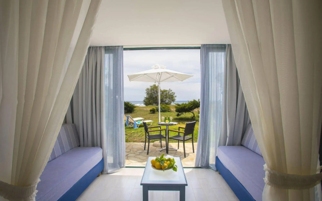 Domes Aulus Zante, Autograph Collection