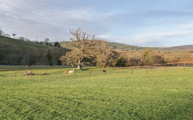 The Paddock, Llanbrynmair