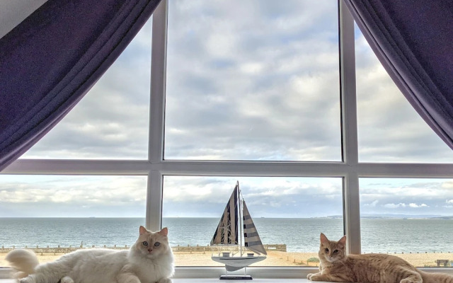 Ocean View