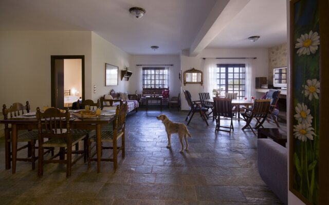 Dim Art Stone House