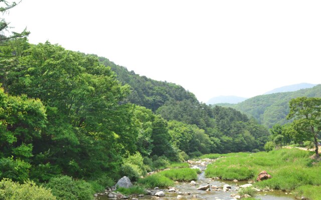 Yangpyeong Lodge House Pension (Pets Friendly)