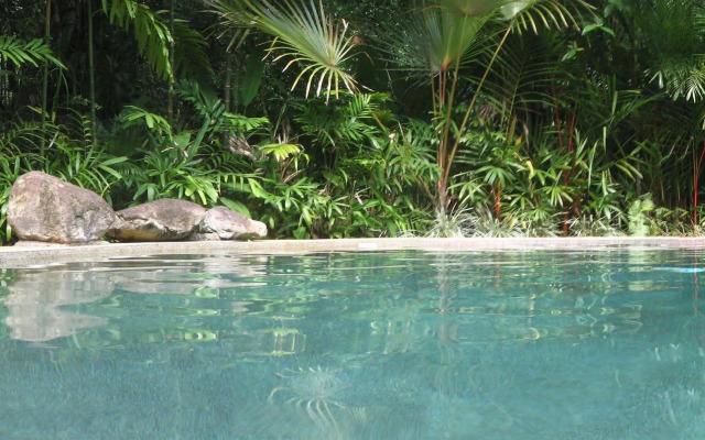 Daintree Rainforest Retreat