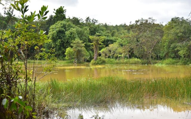 Wichai's Jungle Home Stay