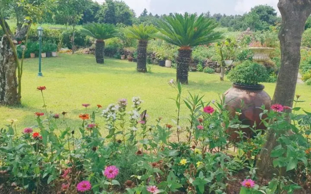 Seogwipo Blaze Resort