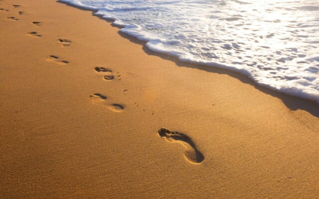 Beaches B&B