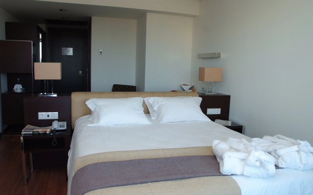 Axis Porto Business & Spa Hotel