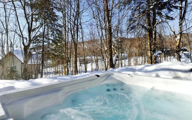 Chalet 28 Chemin des Skieurs