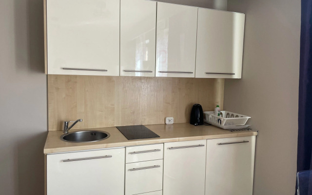 Luxury Apartments Just In Center