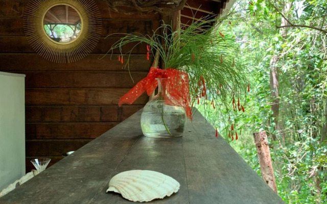 ecolodge Martinique