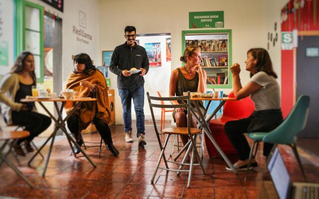 Red Llama Eco Hostel