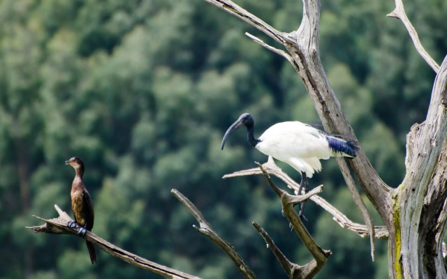 Rawdons Hotel & Brewery