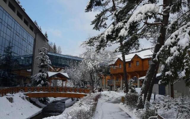 Hotel Czarny Potok Resort SPA & Conference