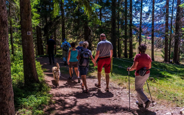 Schwarzwaldhaus Krebs - Villa Kunterbunt, Lenzkirch, Feldberg