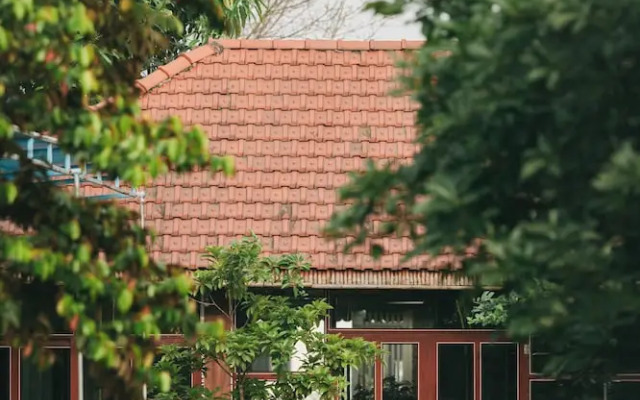 Tam Coc Ninh Binh Bungalow