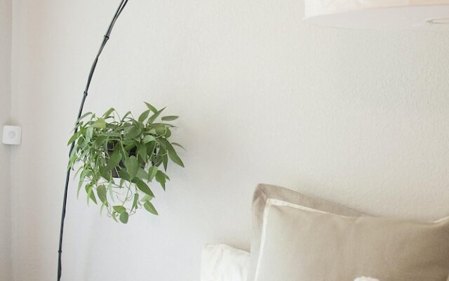 The Boardwalk Beach House