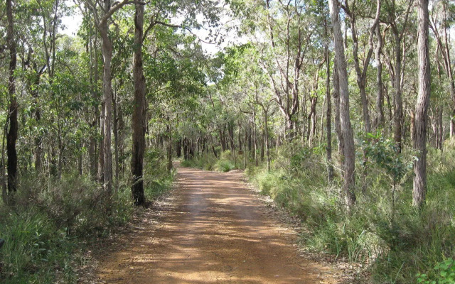 Denmark Forest Retreat
