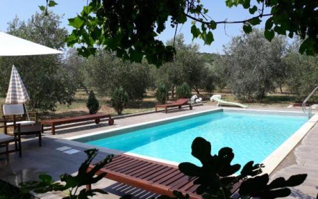 Apartments Garden Monsena