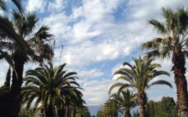 Marina guest house
