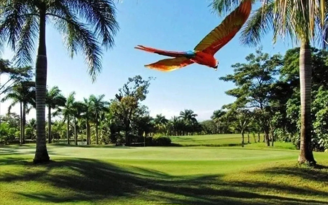 Los Delfines Golf & Country Club
