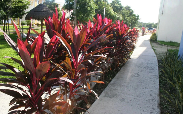 Apartments Paraiso Maya 19-b
