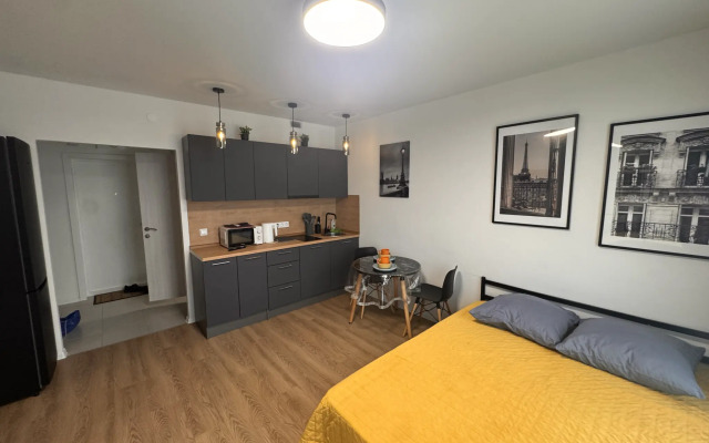 Апартаменты студия на улице Академика Павлова 56к1