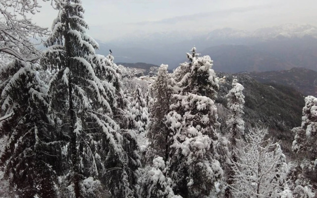 Aaroham Resort by Aamod at Dharamshala