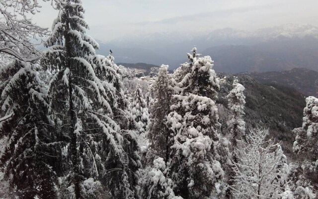 Aaroham Resort by Aamod at Dharamshala