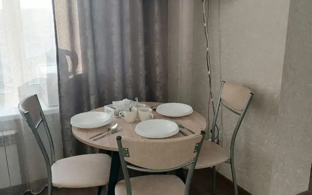 Apartments on Kirova street 206A