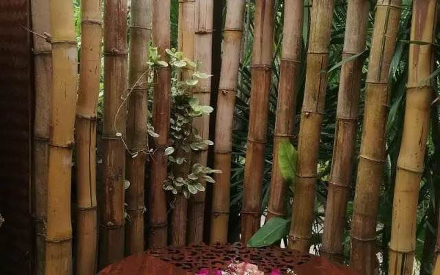 Hôtel Fenua Mata'i'oa