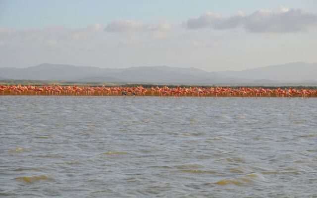 Bona Vida Hostel la Quinta
