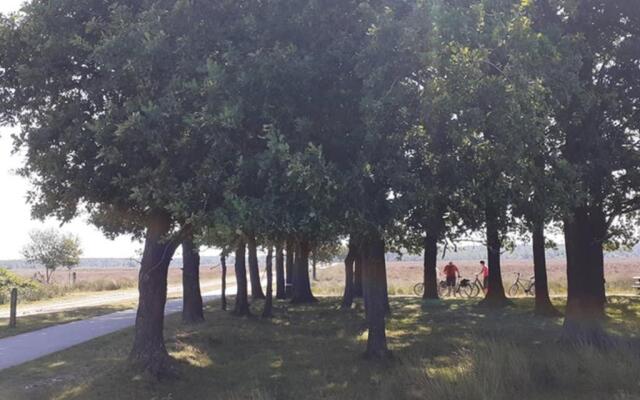 Drentse bungalow in natuur en rust