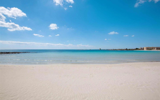 1432 Trilo Stella di Mare 2