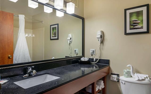 Comfort Suites North Dallas