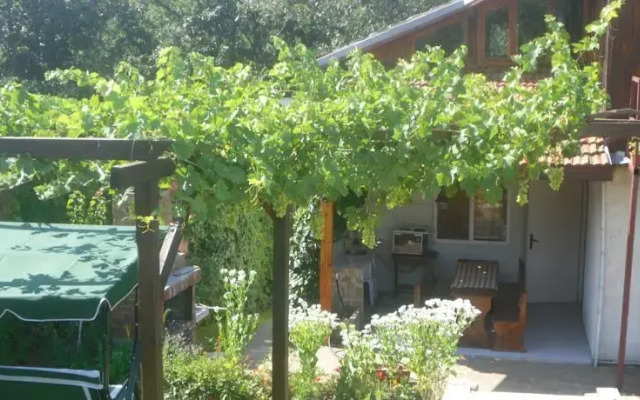 Guest House Milena Sinemorets